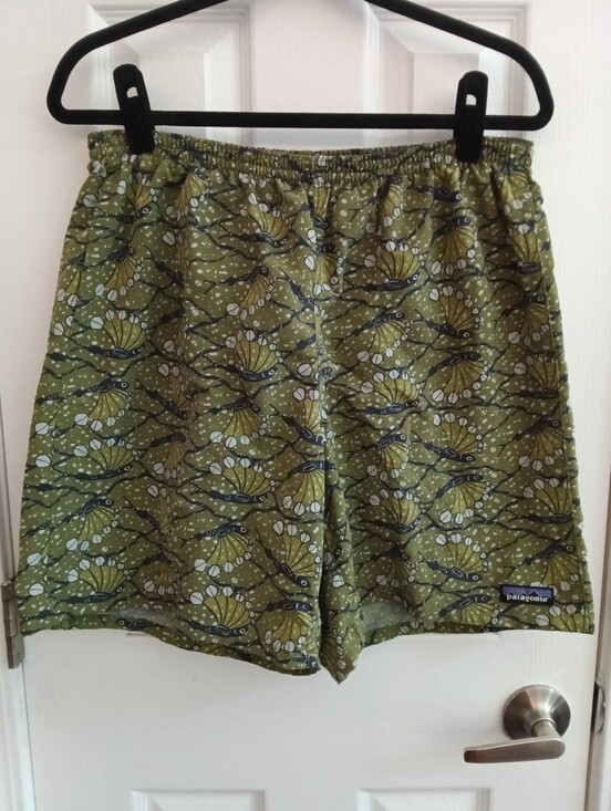 Patagonia Other - Patagonia Baggies Shorts in the "Hexy Fish: Sprouted Green" Colorway Men's Large